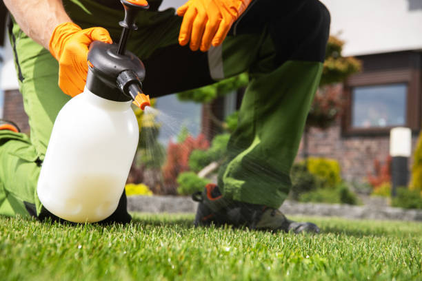 Best Best Pest Control Companies  in Egan, LA