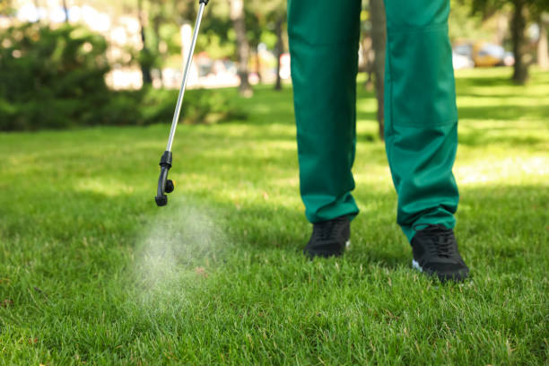 Best Pest Prevention Services  in Egan, LA