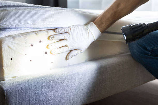Best Affordable Pest Control Services  in Egan, LA