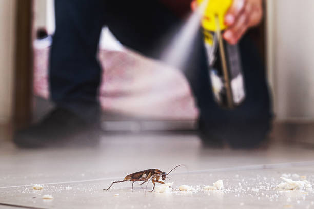 Best Mosquito Control Services  in Egan, LA