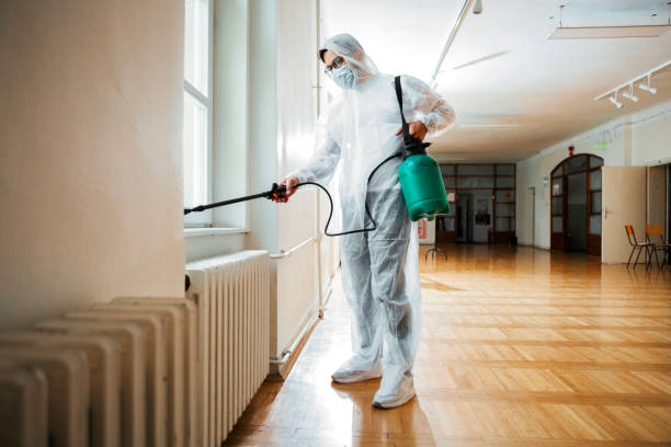 Best Cockroach Control Services  in Egan, LA