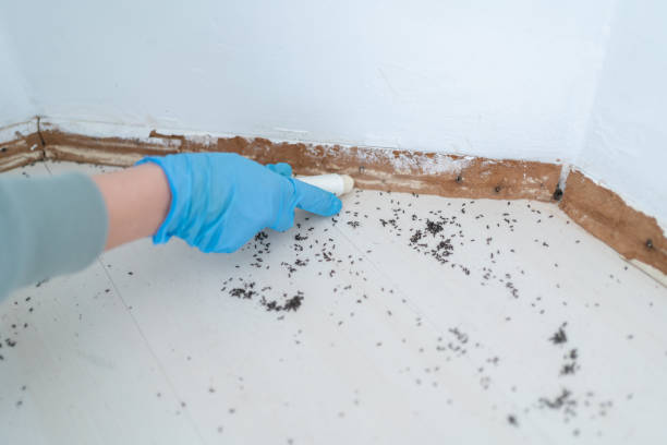 Best Exterminator Services  in Egan, LA